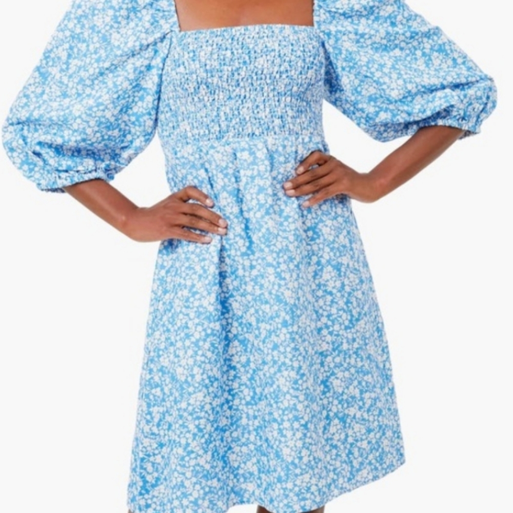 Tuckernuck Cameron Eubanks Annie Blooms on Broadway dress